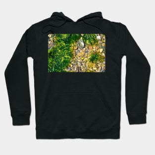 Rock Pool With Beach Pebbles & Seaweed - Abstract Coastal - #2 Hoodie